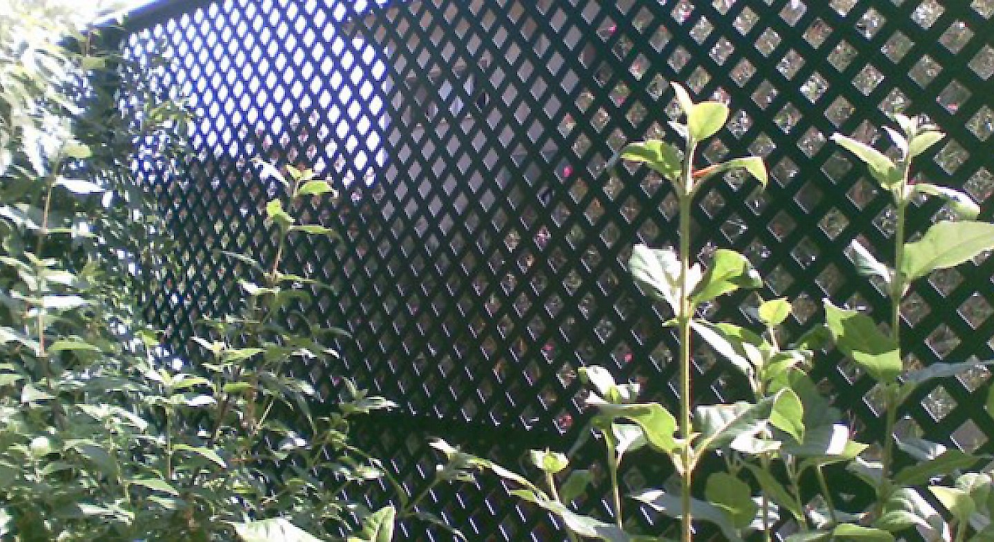 Sirede Redes Metálicas - Mais de 30 anos de Experiência